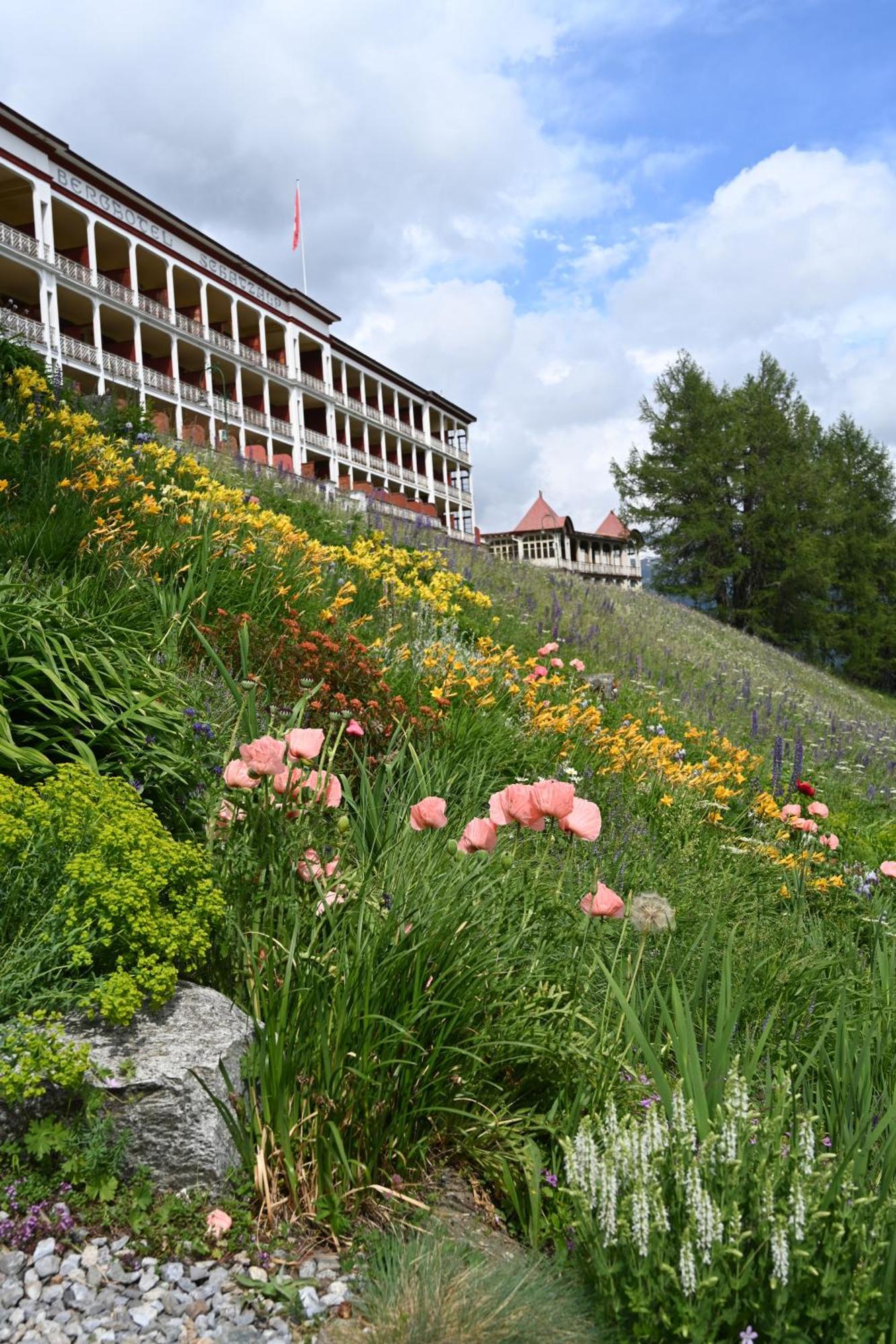Schatzalp Hotel Νταβός Εξωτερικό φωτογραφία