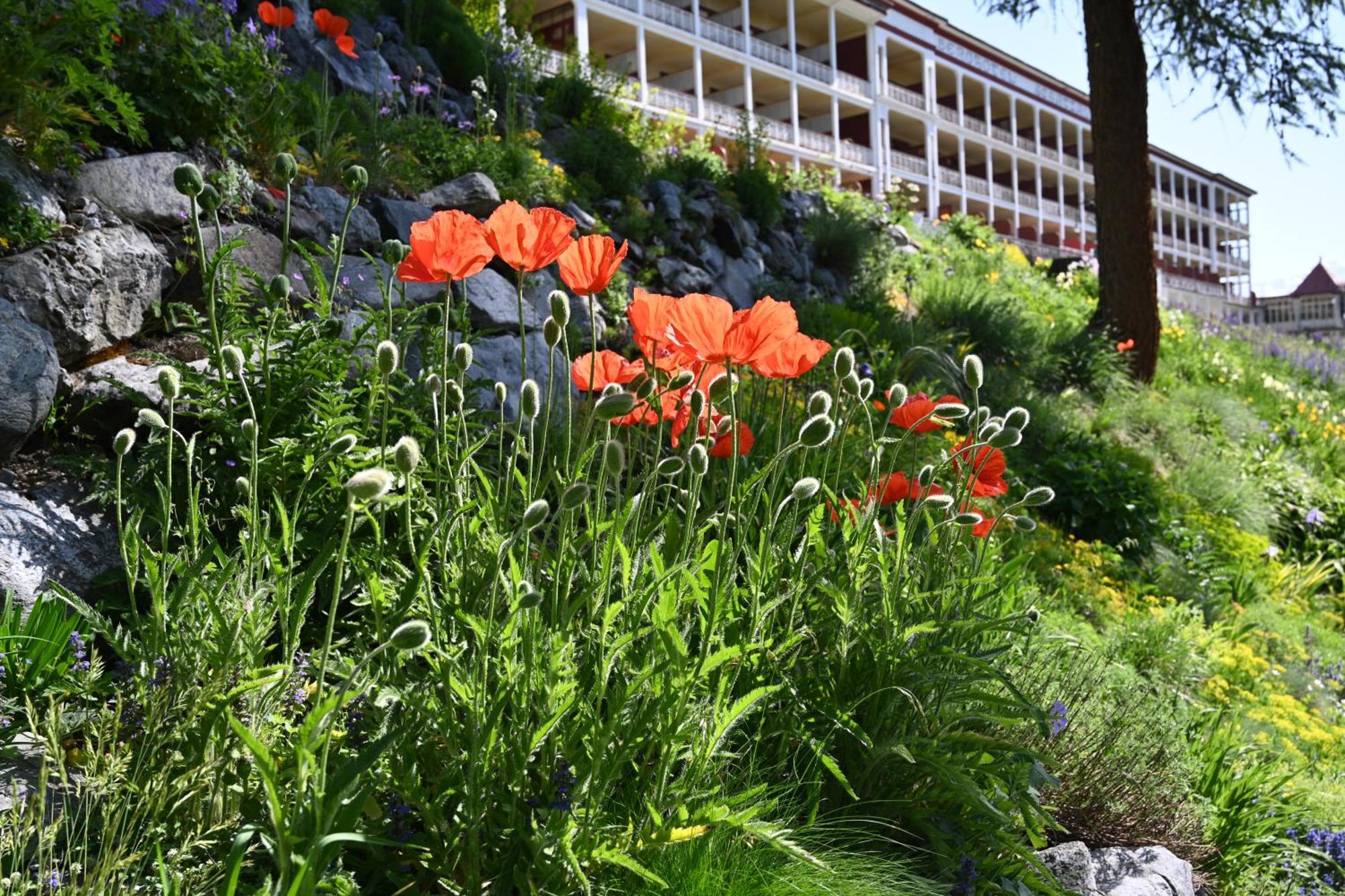 Schatzalp Hotel Νταβός Εξωτερικό φωτογραφία
